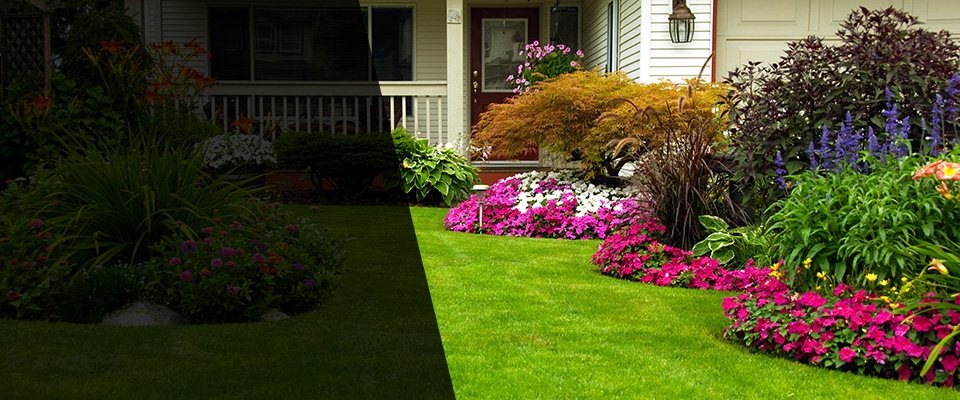 Greenwich Landscapers